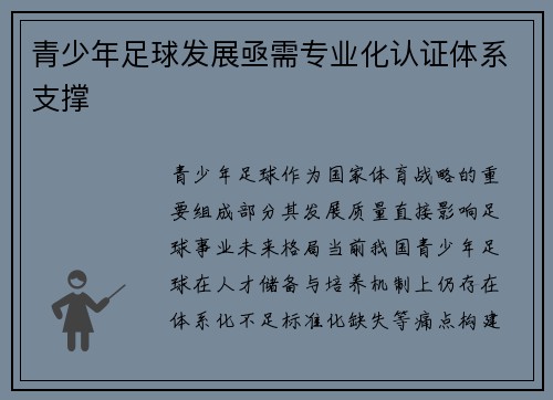 青少年足球发展亟需专业化认证体系支撑