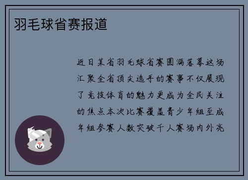 羽毛球省赛报道